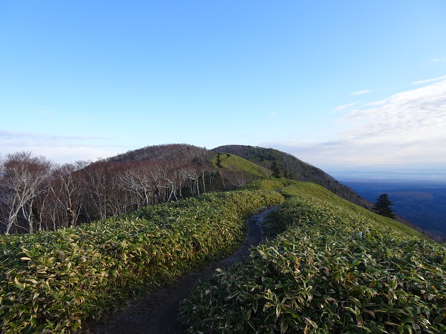 f:id:suteki-hokkaido:20201103124717j:plain f:id:suteki-hokkaido:20201103124717j:plain