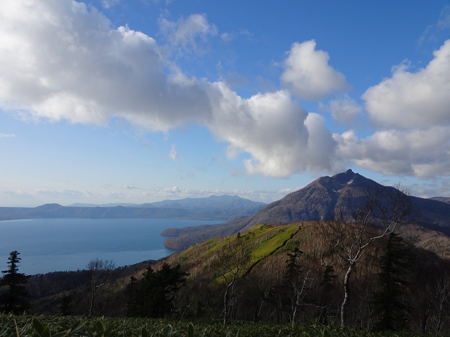 f:id:suteki-hokkaido:20201103124724j:plain f:id:suteki-hokkaido:20201103124724j:plain