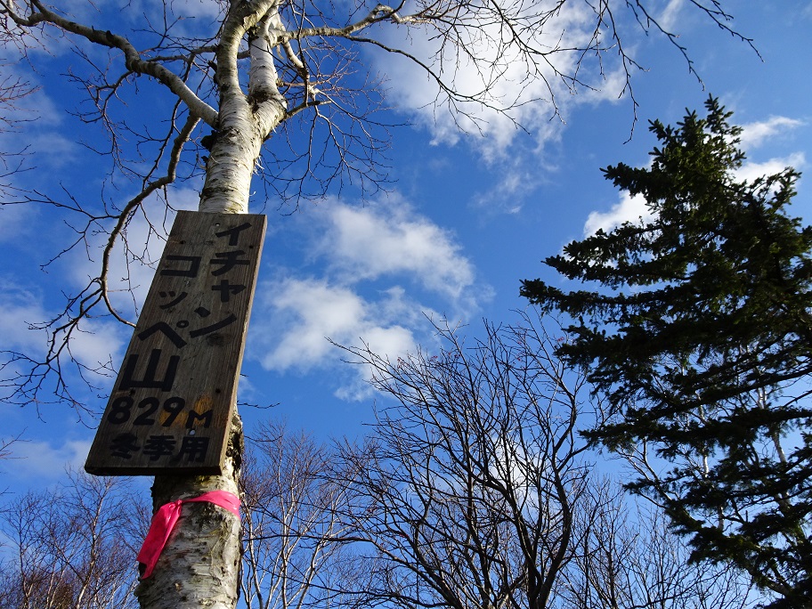 f:id:suteki-hokkaido:20201103124728j:plain f:id:suteki-hokkaido:20201103124728j:plain