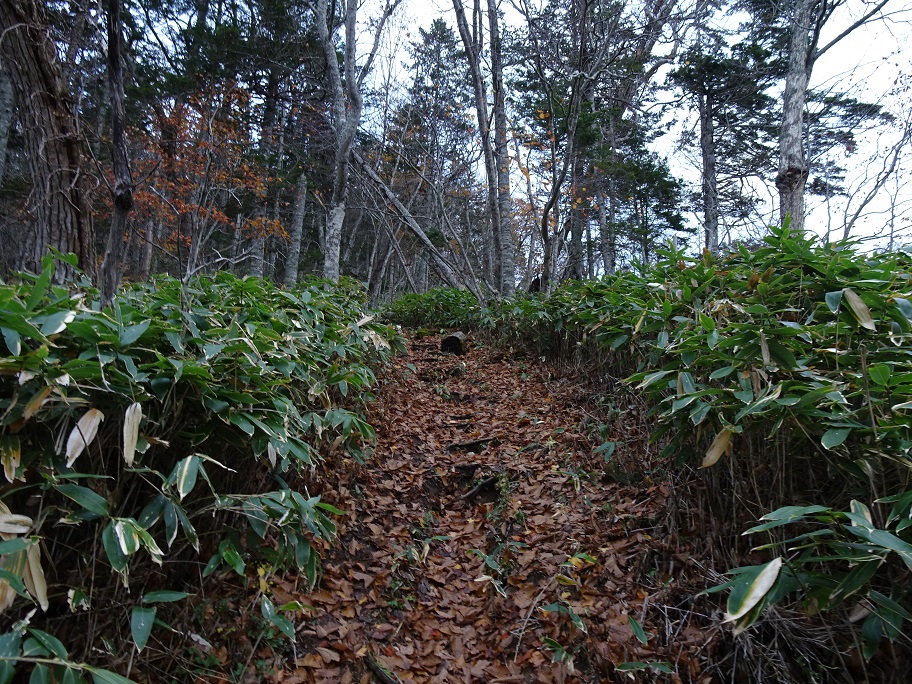 f:id:suteki-hokkaido:20201103124735j:plain f:id:suteki-hokkaido:20201103124735j:plain