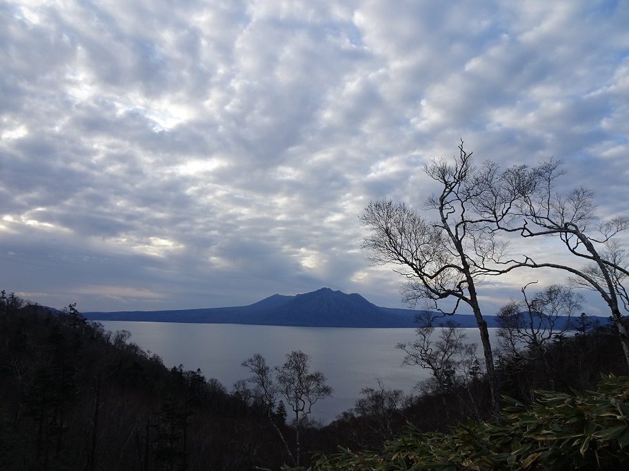 f:id:suteki-hokkaido:20201103124742j:plain f:id:suteki-hokkaido:20201103124742j:plain