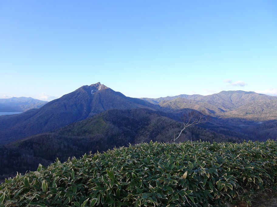 f:id:suteki-hokkaido:20201103132037j:plain f:id:suteki-hokkaido:20201103132037j:plain