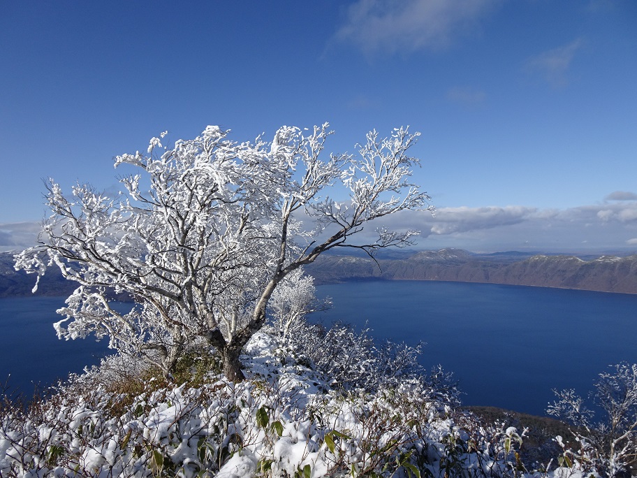f:id:suteki-hokkaido:20201111165727j:plain
