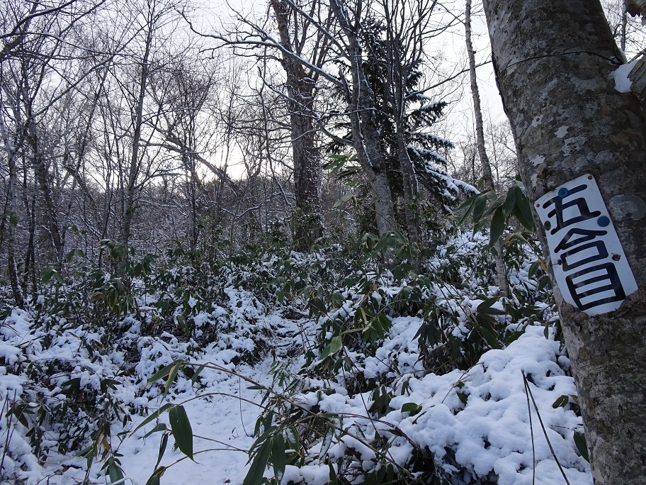 f:id:suteki-hokkaido:20201111165734j:plain