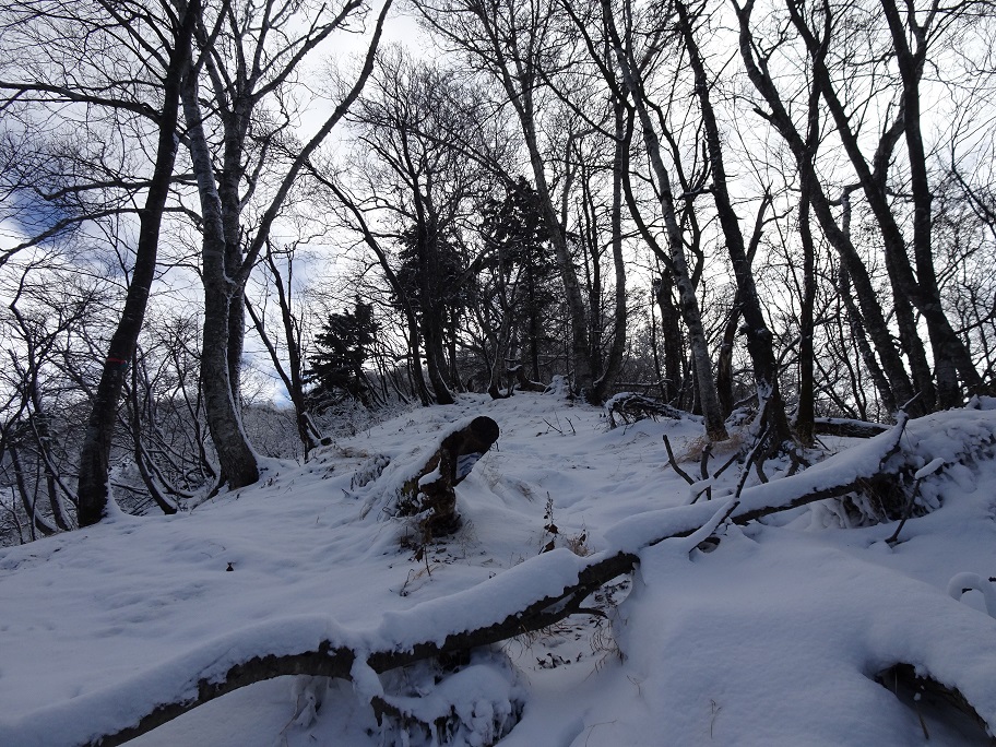 f:id:suteki-hokkaido:20201111165737j:plain