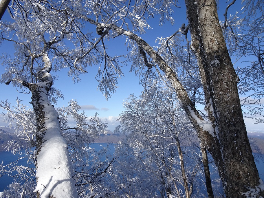 f:id:suteki-hokkaido:20201111165741j:plain