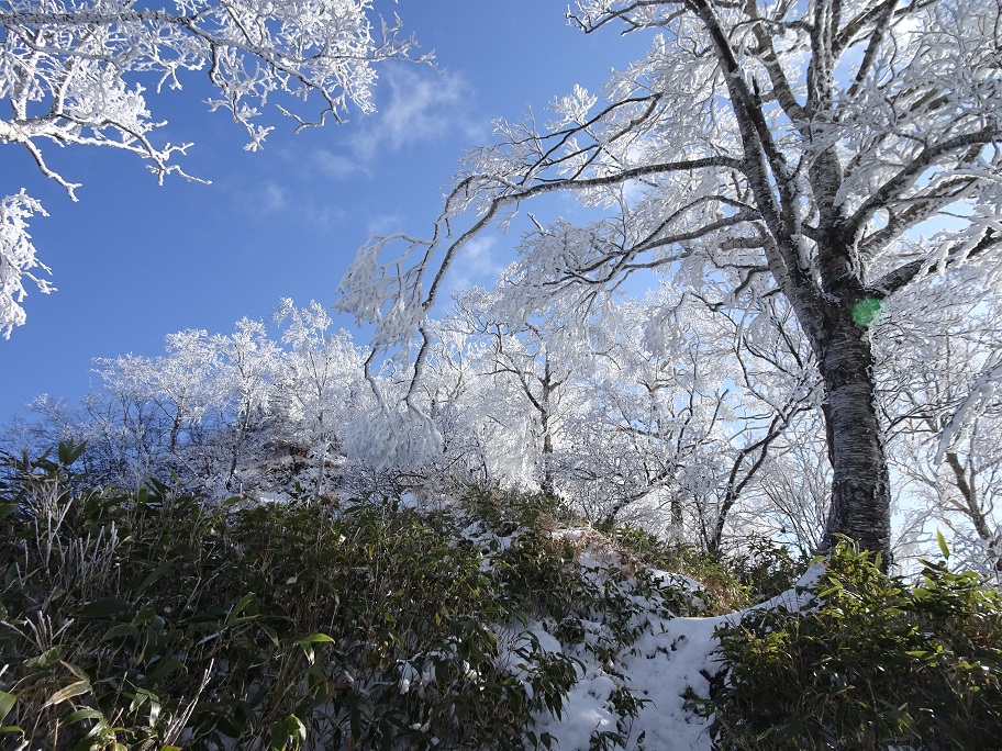 f:id:suteki-hokkaido:20201111165745j:plain