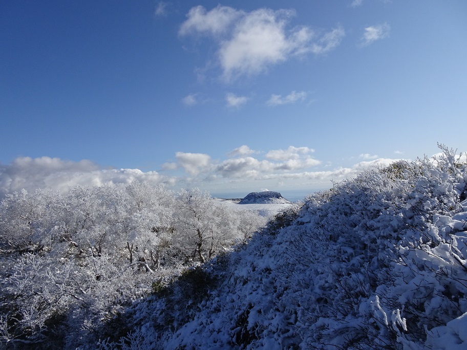 f:id:suteki-hokkaido:20201111165749j:plain