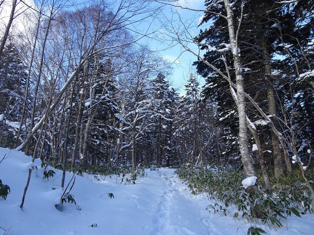 f:id:suteki-hokkaido:20210106181702j:plain