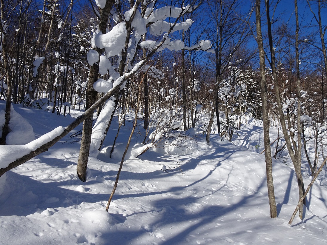 f:id:suteki-hokkaido:20210106181710j:plain