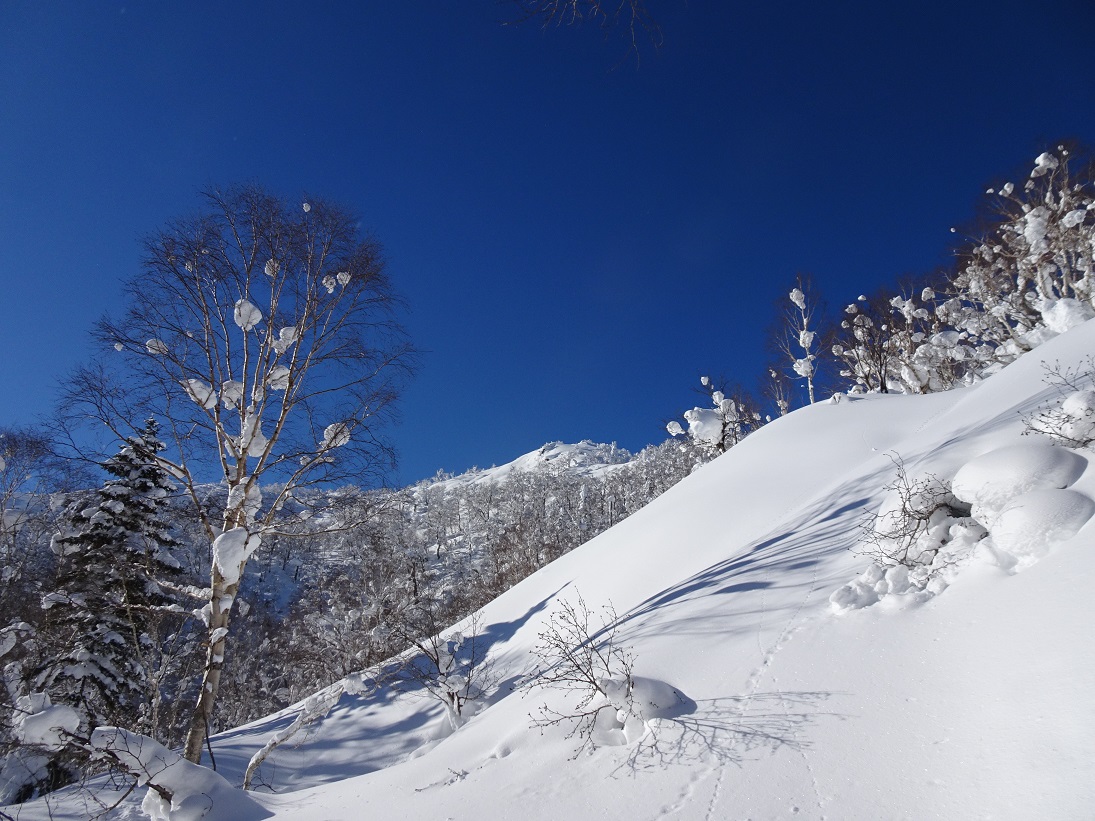 f:id:suteki-hokkaido:20210106181717j:plain