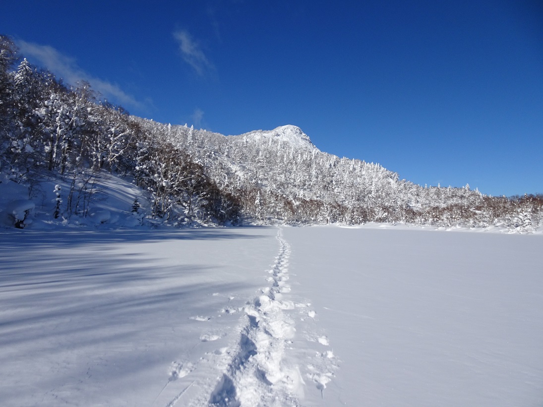 f:id:suteki-hokkaido:20210106181721j:plain