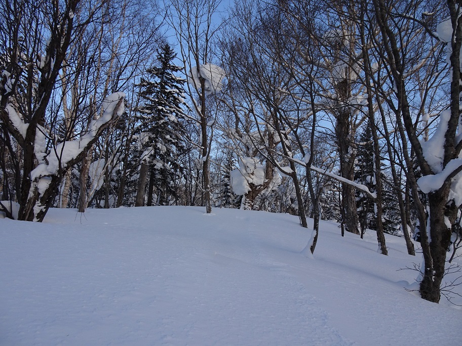 f:id:suteki-hokkaido:20210228115848j:plain
