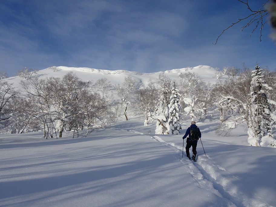 f:id:suteki-hokkaido:20210228115902j:plain