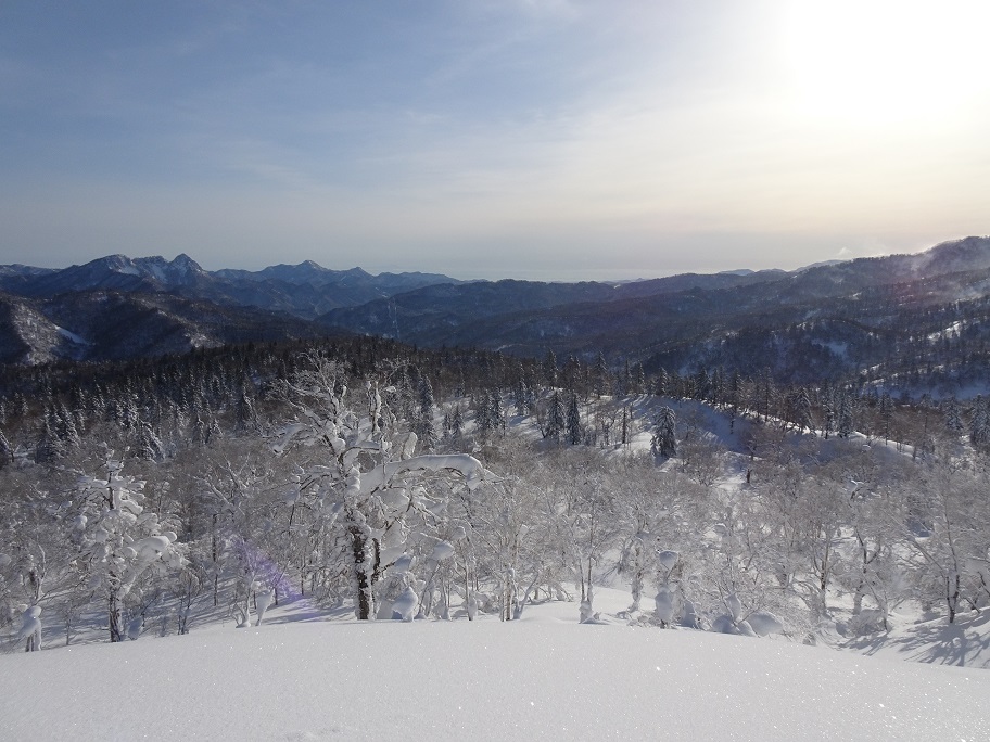 f:id:suteki-hokkaido:20210228115909j:plain