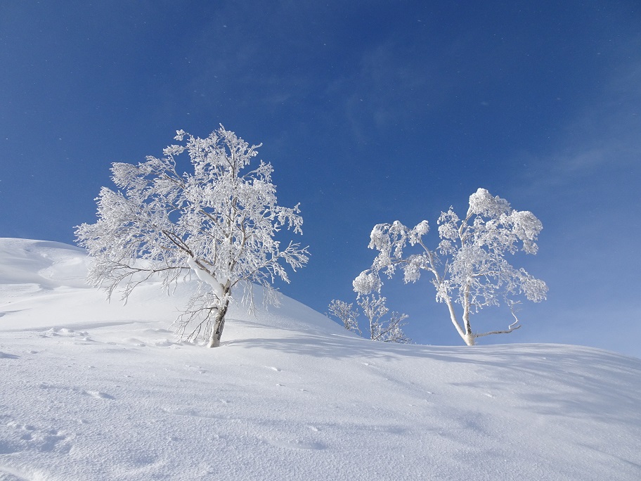 f:id:suteki-hokkaido:20210228115912j:plain