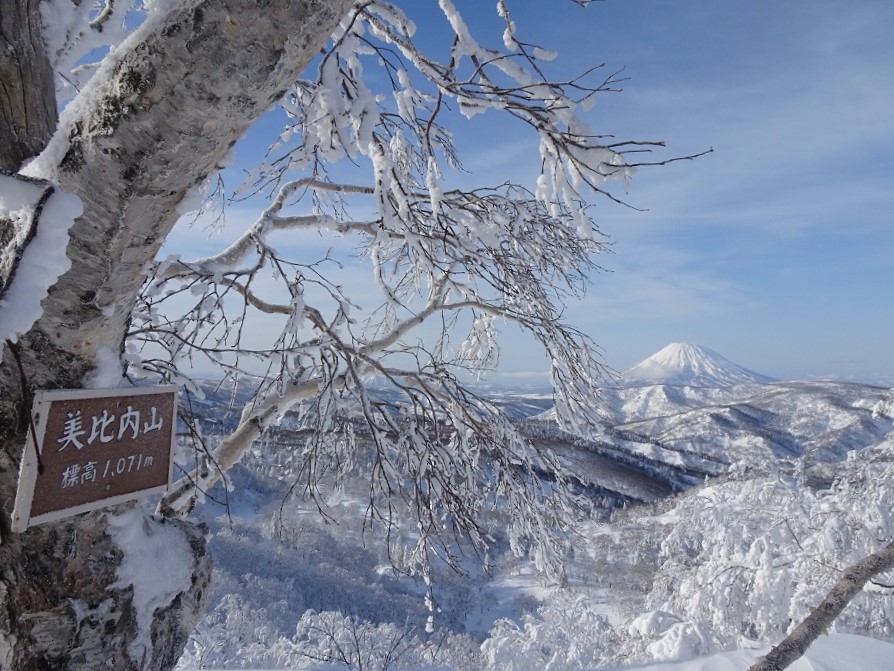 f:id:suteki-hokkaido:20210228115919j:plain