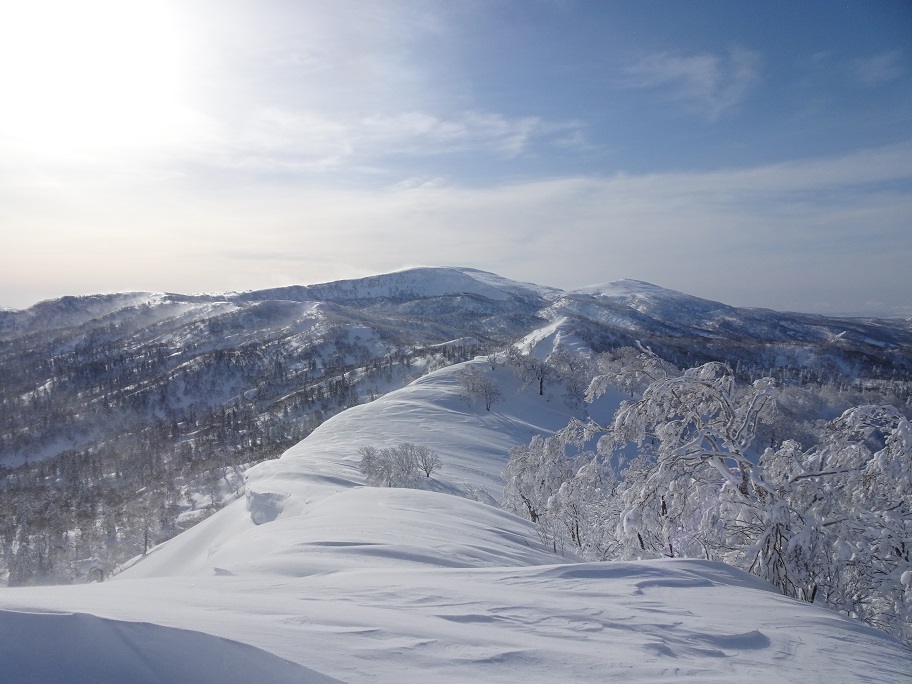 f:id:suteki-hokkaido:20210228115925j:plain