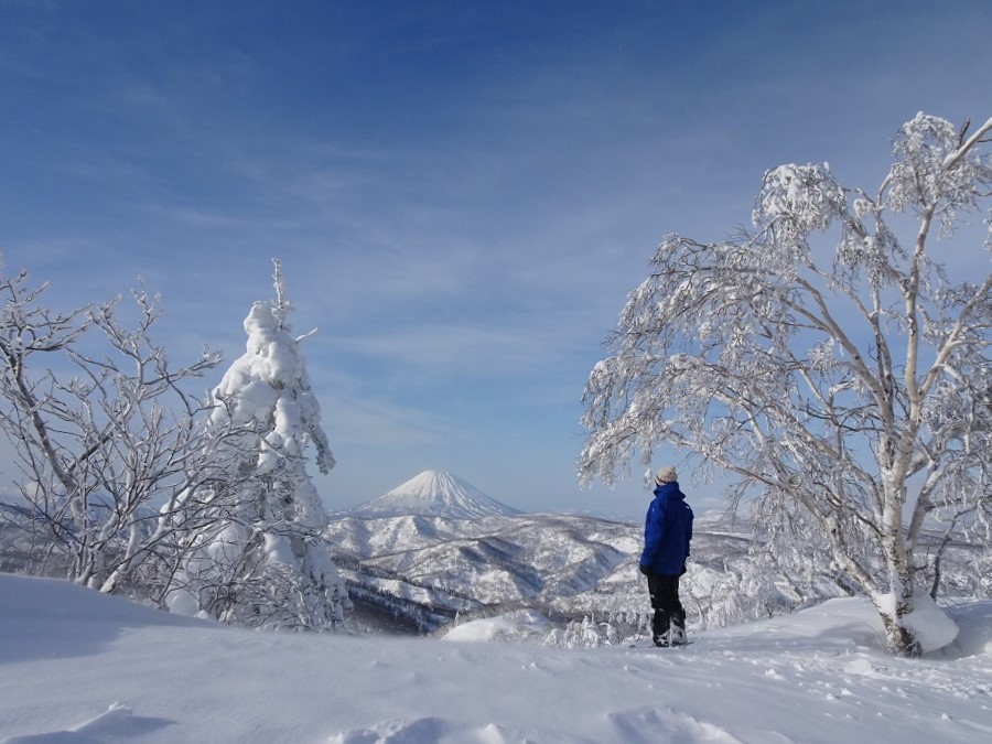 f:id:suteki-hokkaido:20210228115932j:plain