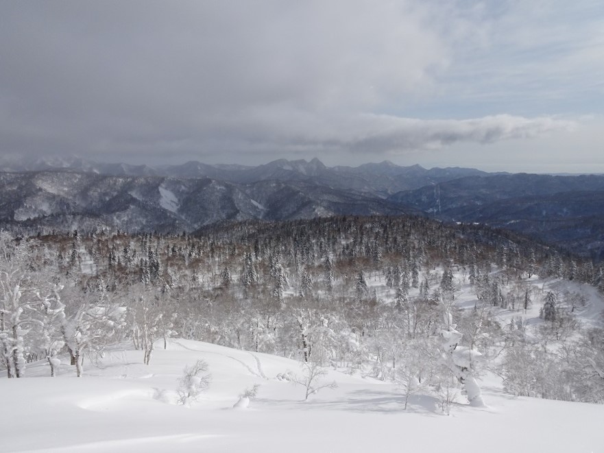 f:id:suteki-hokkaido:20210228115939j:plain
