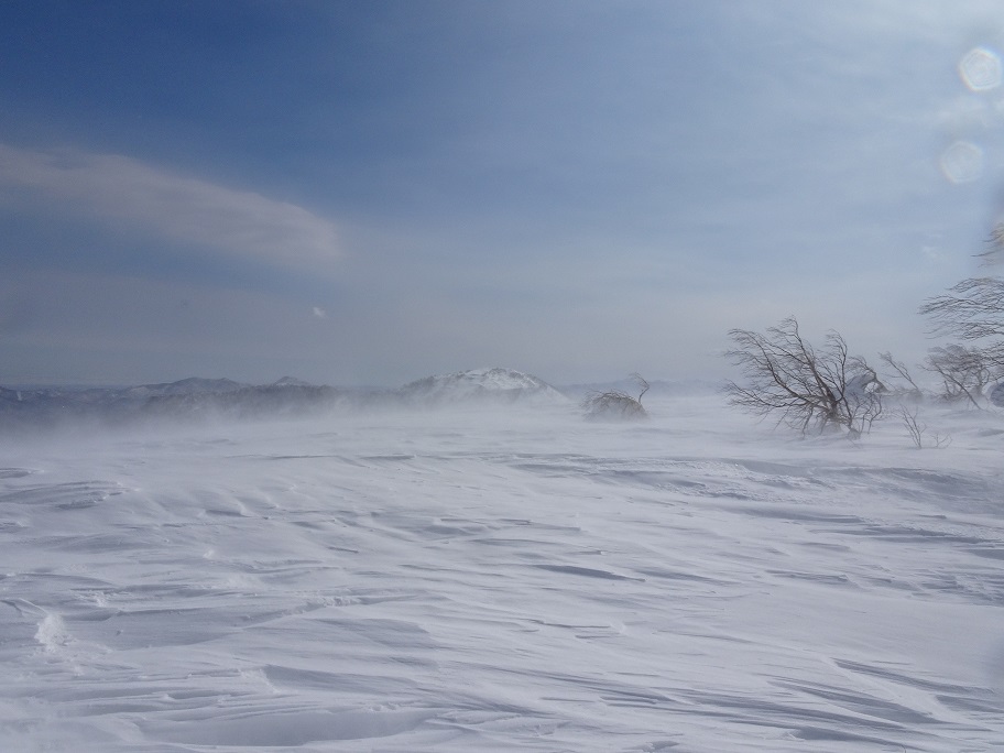 f:id:suteki-hokkaido:20210311180259j:plain