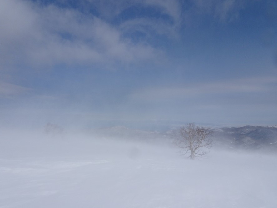 f:id:suteki-hokkaido:20210311180305j:plain