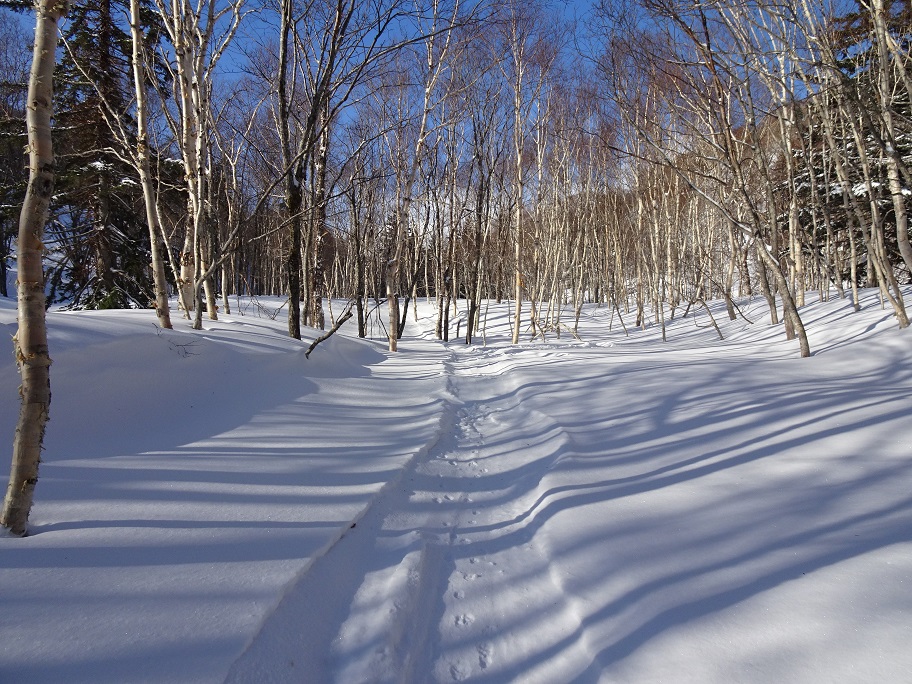 f:id:suteki-hokkaido:20210311180314j:plain