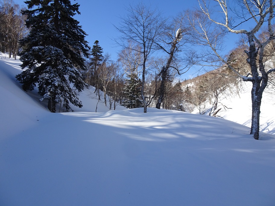 f:id:suteki-hokkaido:20210311180318j:plain