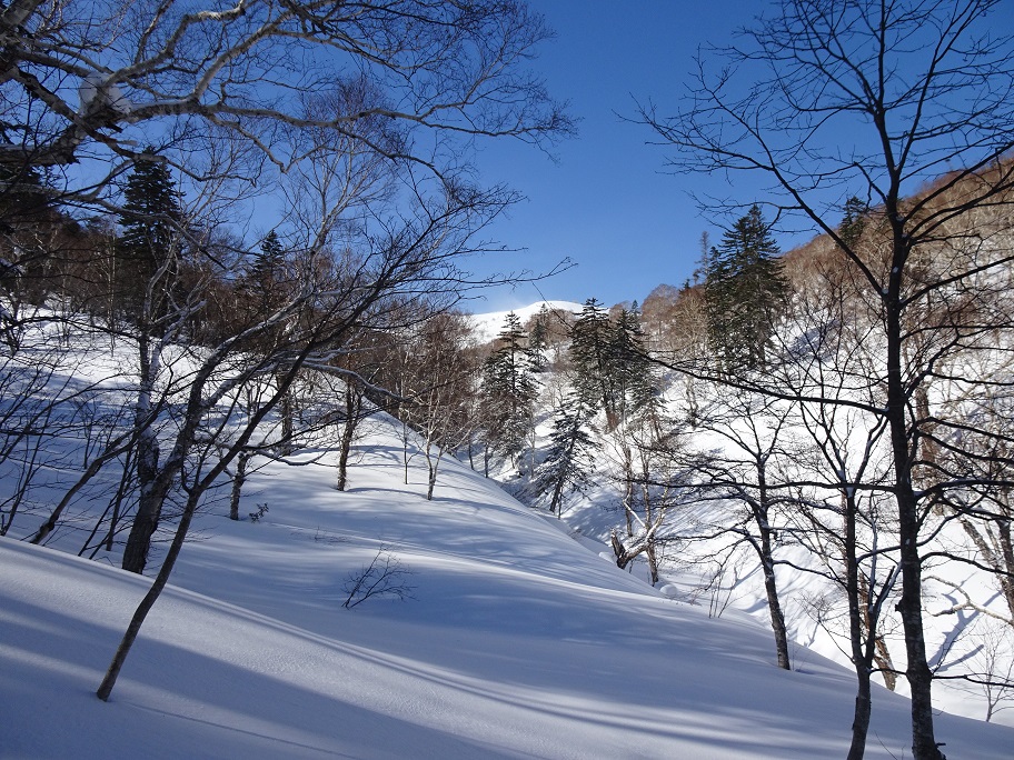 f:id:suteki-hokkaido:20210311180325j:plain