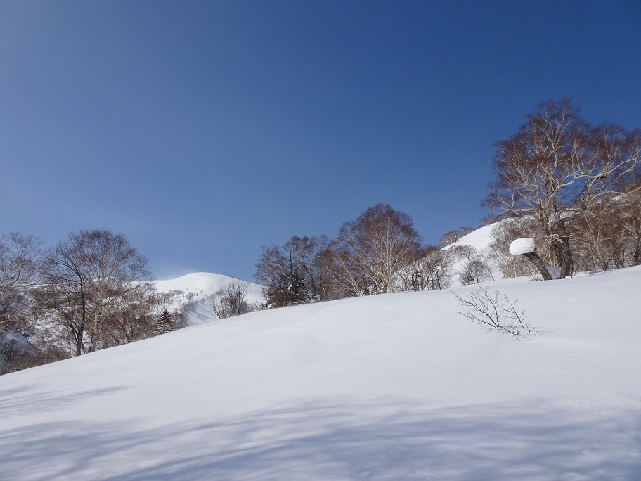 f:id:suteki-hokkaido:20210311180328j:plain