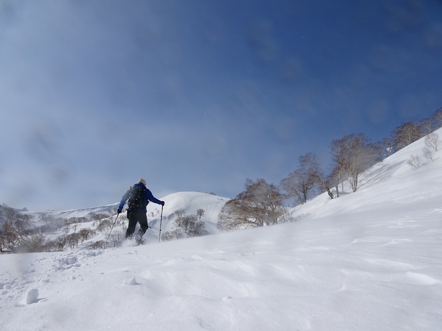 f:id:suteki-hokkaido:20210311180331j:plain