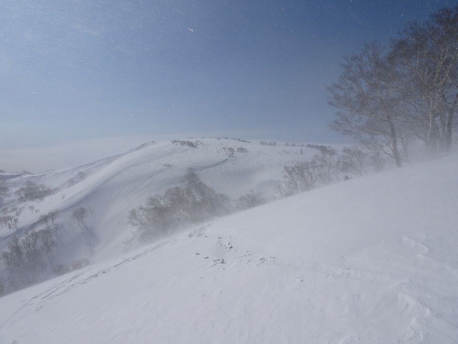 f:id:suteki-hokkaido:20210311180338j:plain