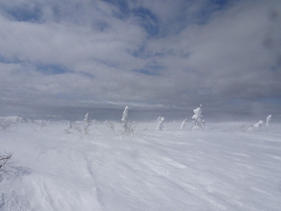 f:id:suteki-hokkaido:20210311180348j:plain