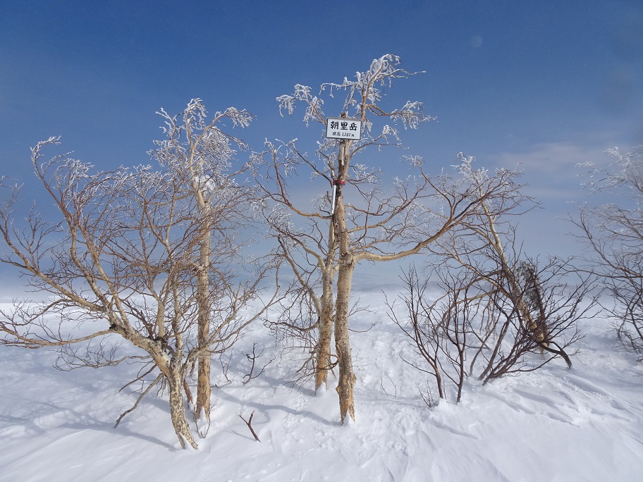 f:id:suteki-hokkaido:20210311180351j:plain
