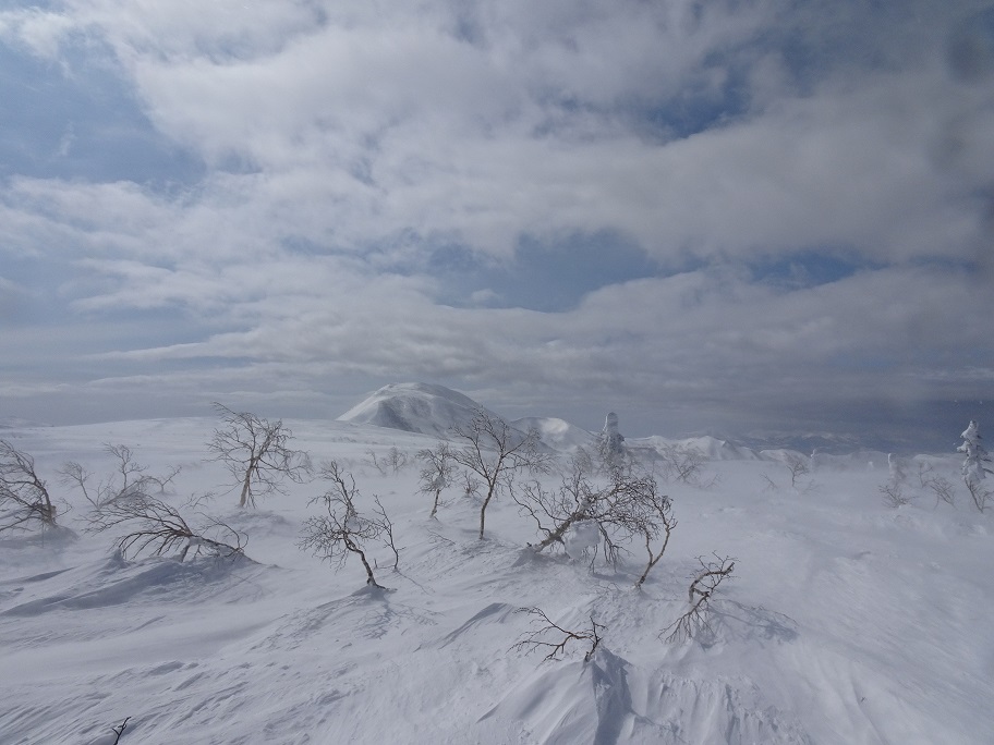 f:id:suteki-hokkaido:20210311180355j:plain