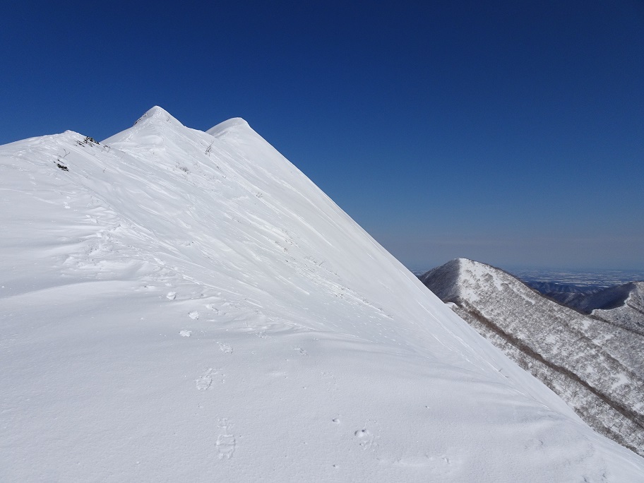 f:id:suteki-hokkaido:20210319191521j:plain