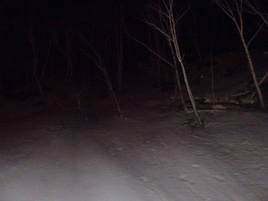 f:id:suteki-hokkaido:20210319191536j:plain