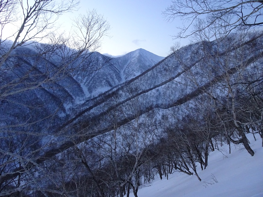 f:id:suteki-hokkaido:20210319191543j:plain