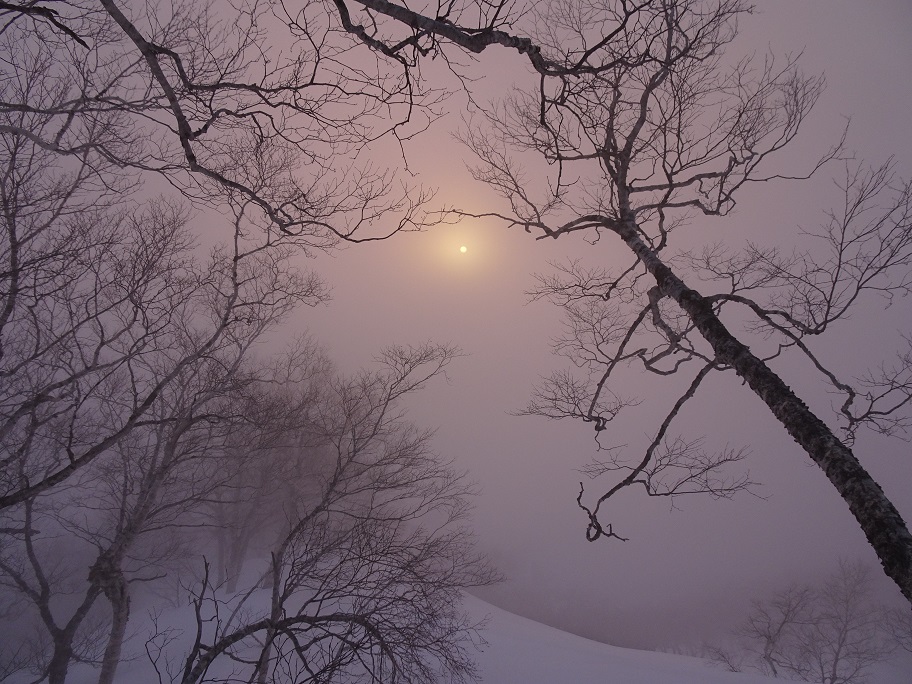 f:id:suteki-hokkaido:20210319191549j:plain