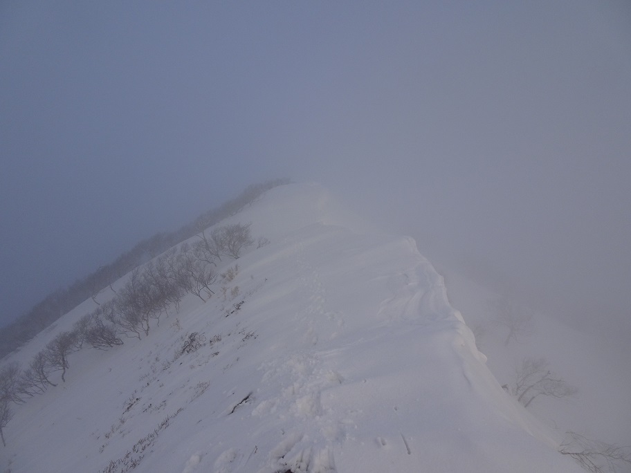 f:id:suteki-hokkaido:20210319191556j:plain