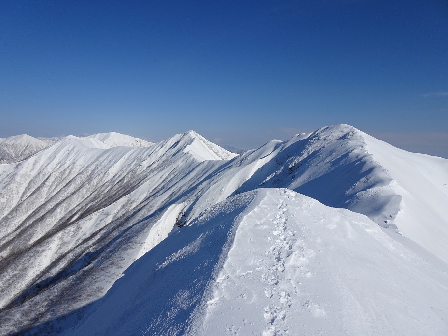 f:id:suteki-hokkaido:20210319191628j:plain