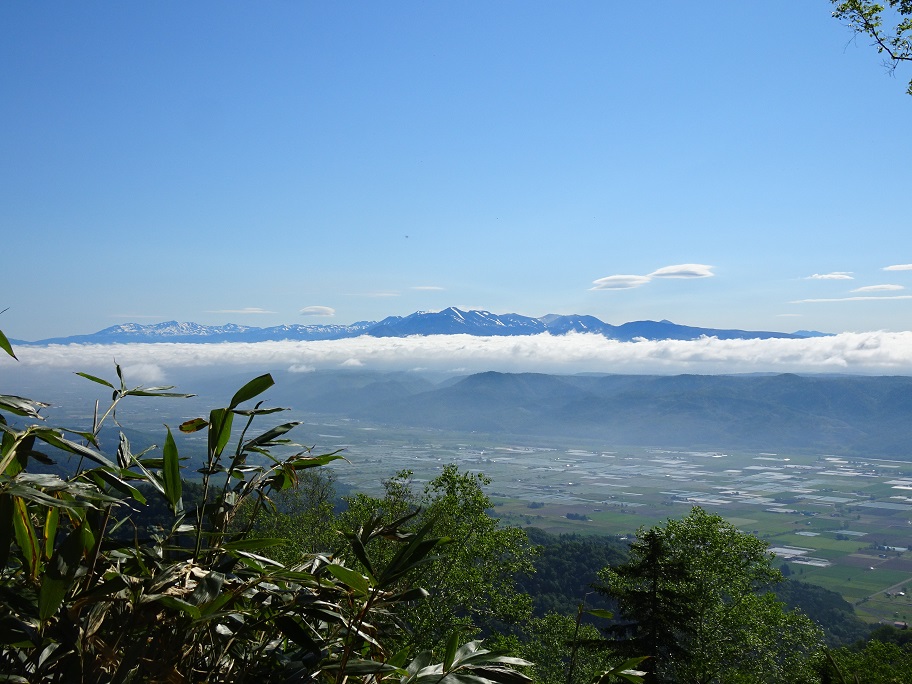 f:id:suteki-hokkaido:20210609194844j:plain