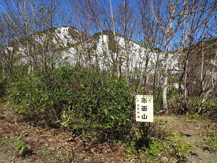 f:id:suteki-hokkaido:20210609194903j:plain