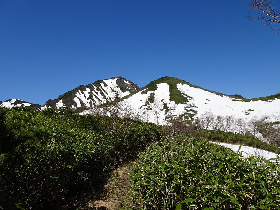 f:id:suteki-hokkaido:20210609194906j:plain