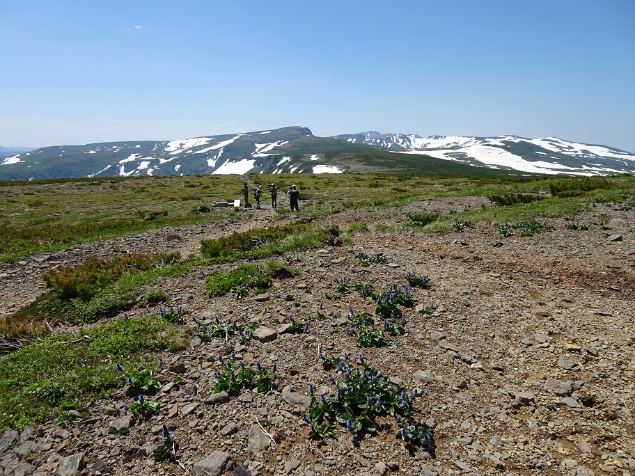 f:id:suteki-hokkaido:20210627200210j:plain