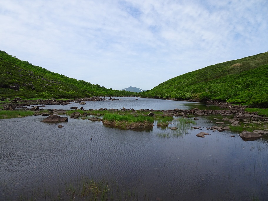 f:id:suteki-hokkaido:20210704190732j:plain