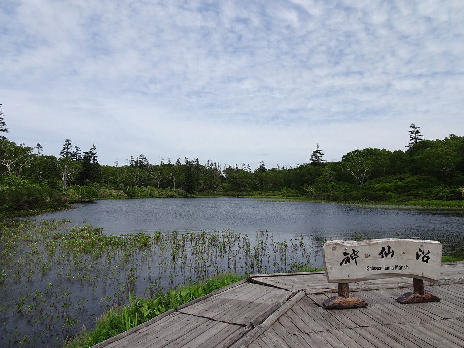 f:id:suteki-hokkaido:20210704190735j:plain