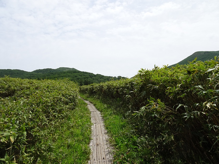 f:id:suteki-hokkaido:20210704190739j:plain