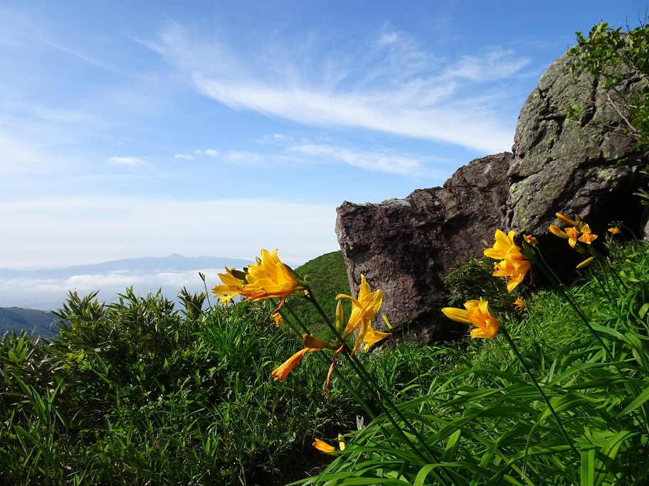 f:id:suteki-hokkaido:20210704190815j:plain