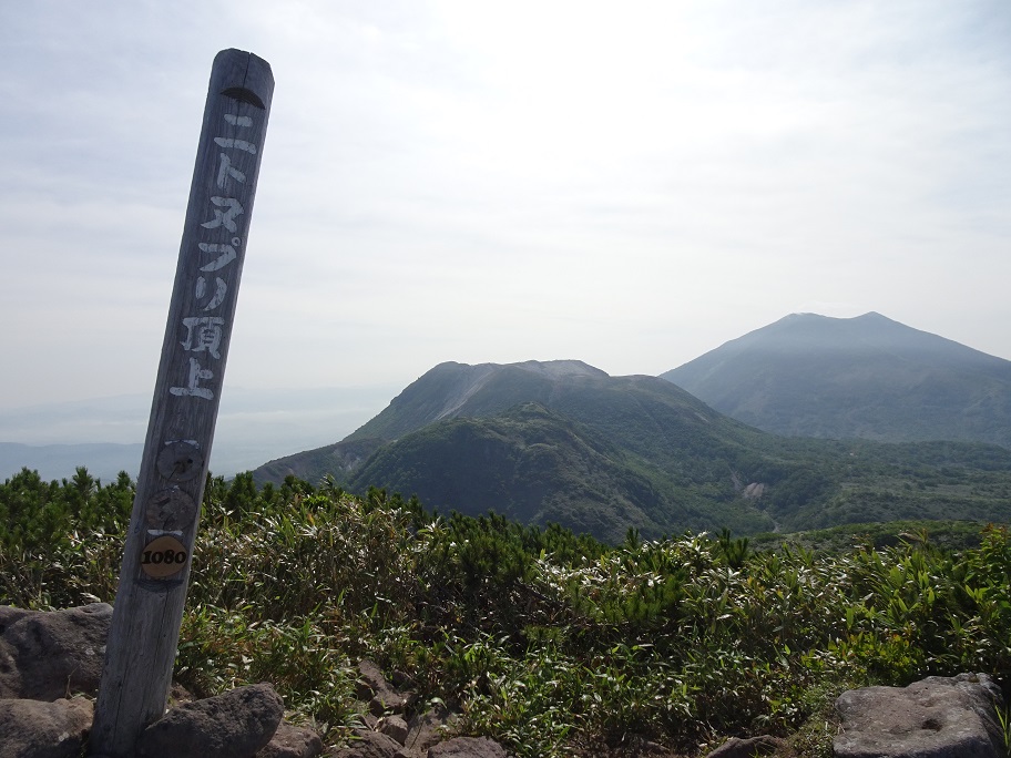 f:id:suteki-hokkaido:20210704190819j:plain